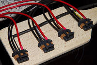 ECU wires mounted to the connectors